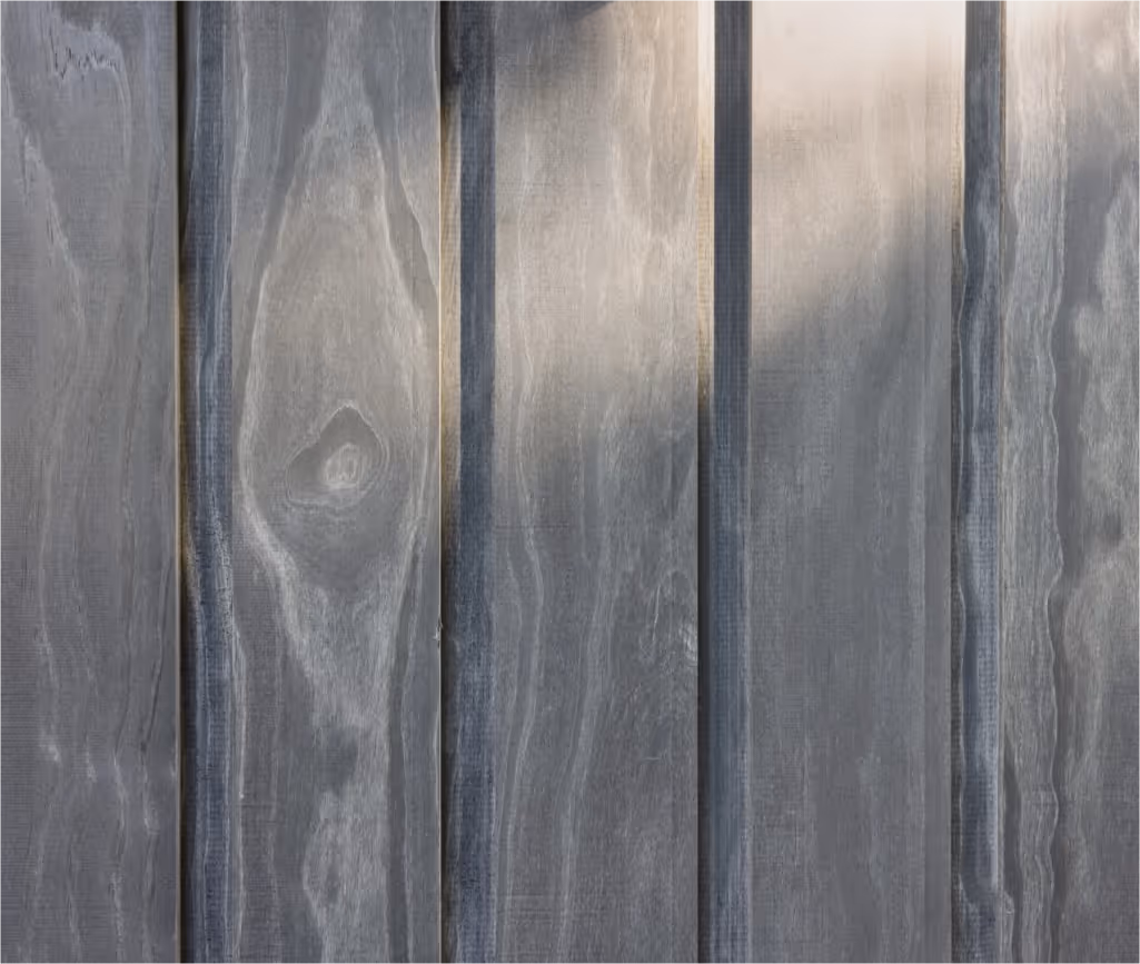 Accoya wood zoomed in shot