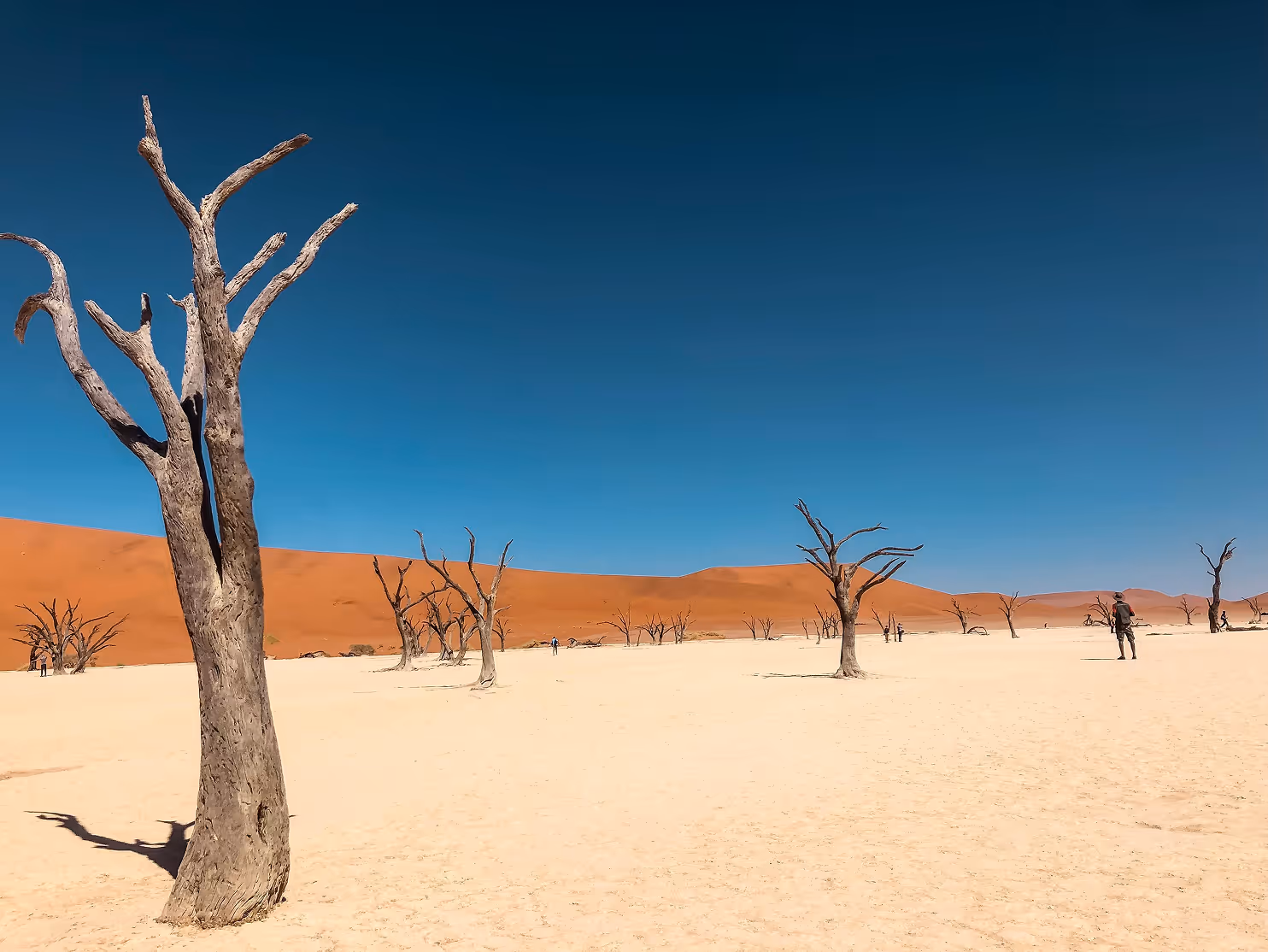 Image of the Namibian desert