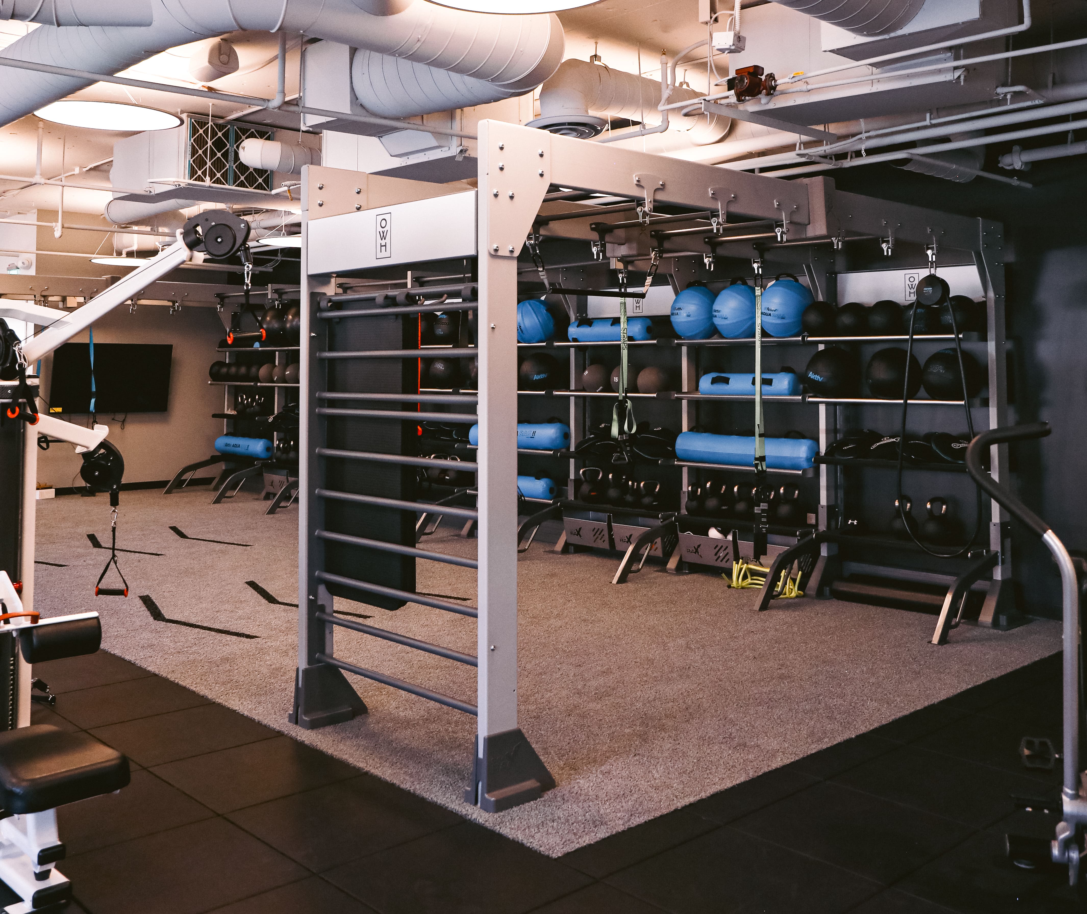 Modern gym area with a functional training rig, medicine balls, kettlebells, and various fitness equipment on shelves.