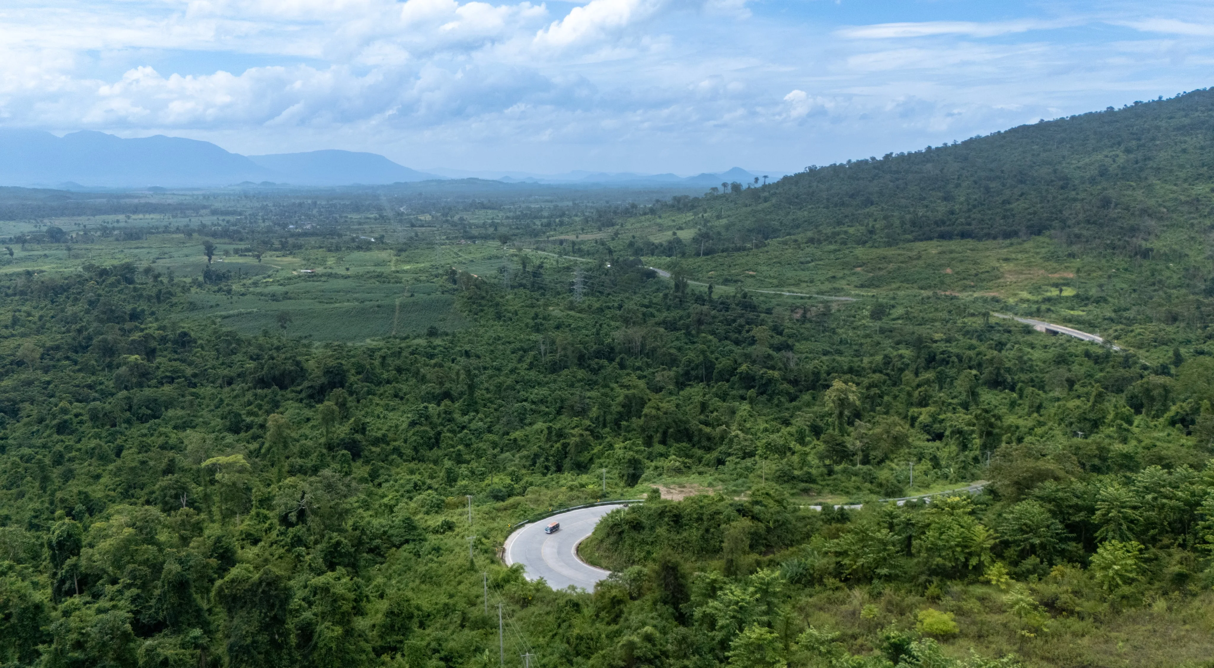 Cardamom landscape 3