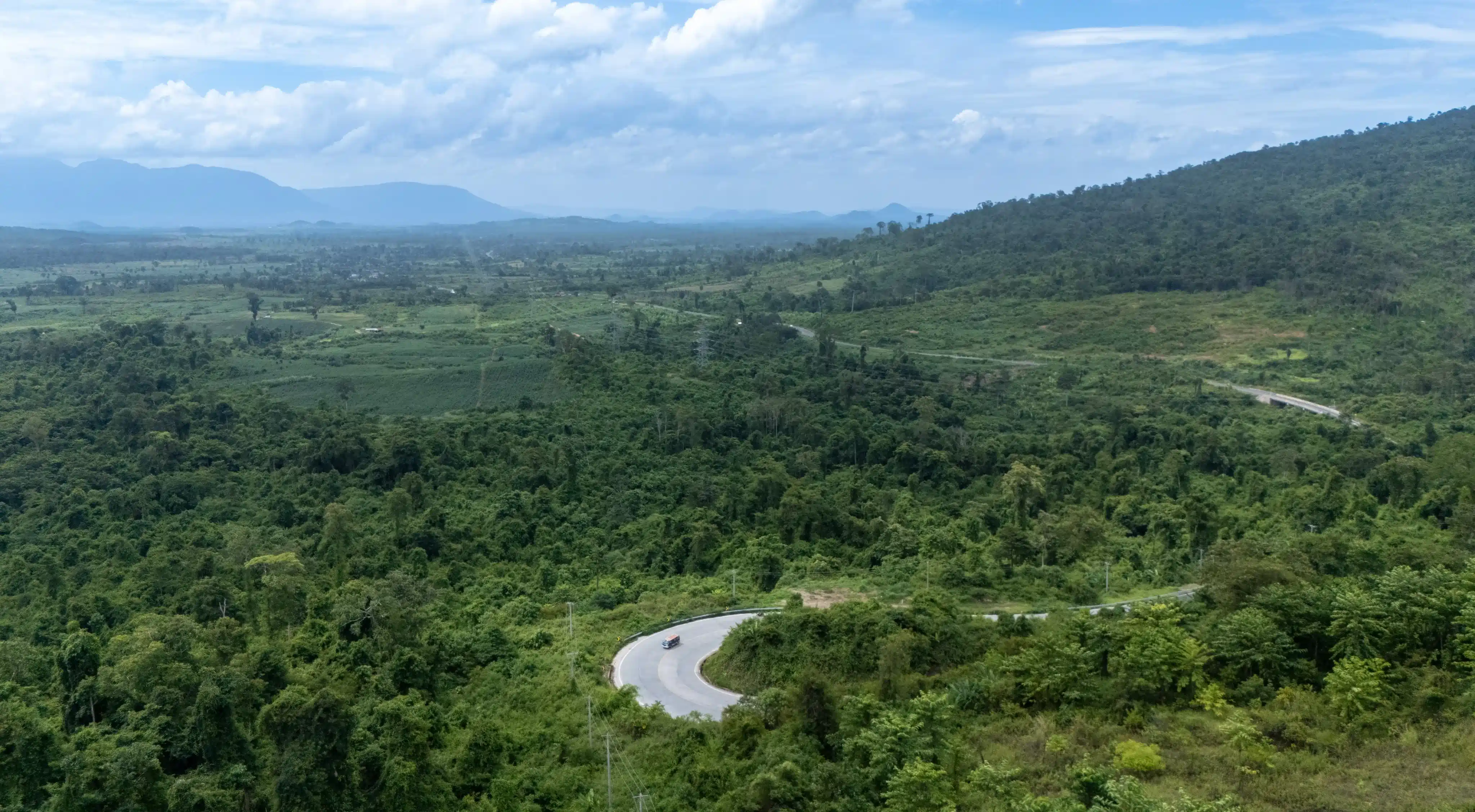 Cardamom landscape 3