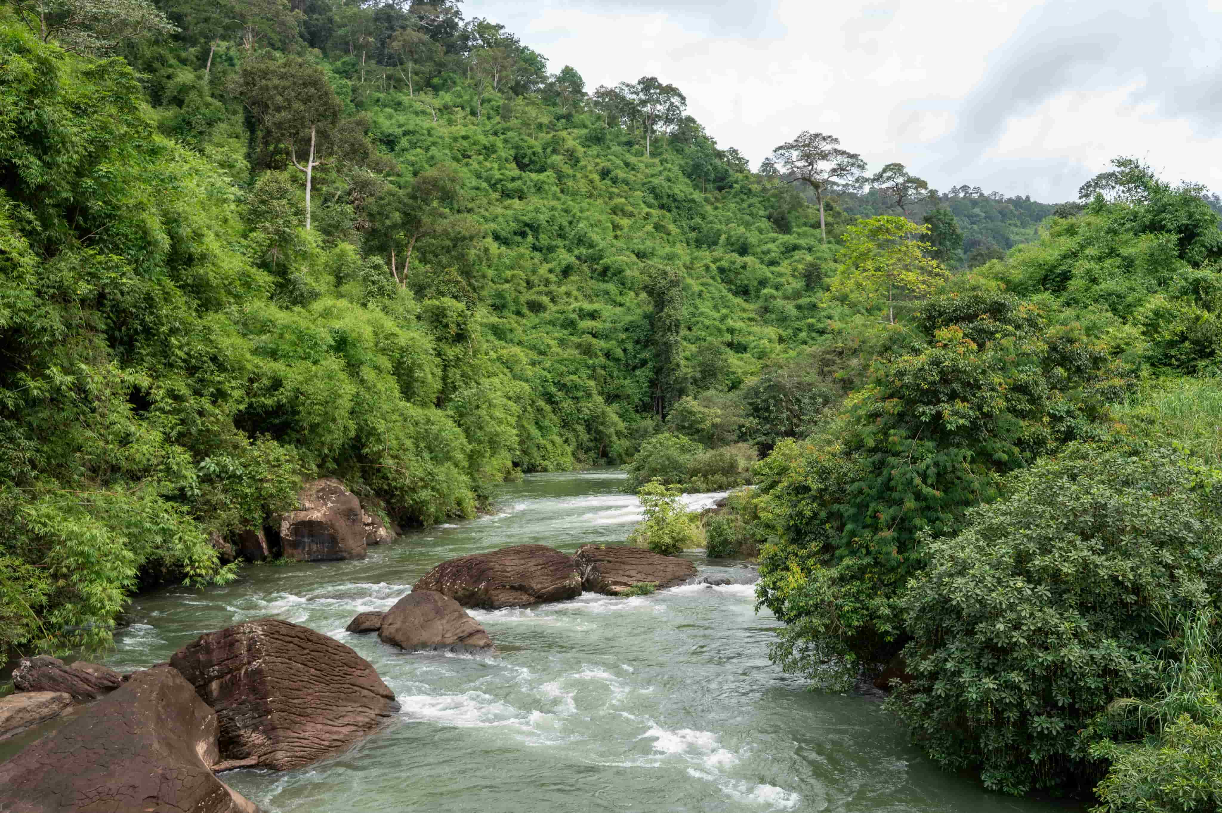 River and nature