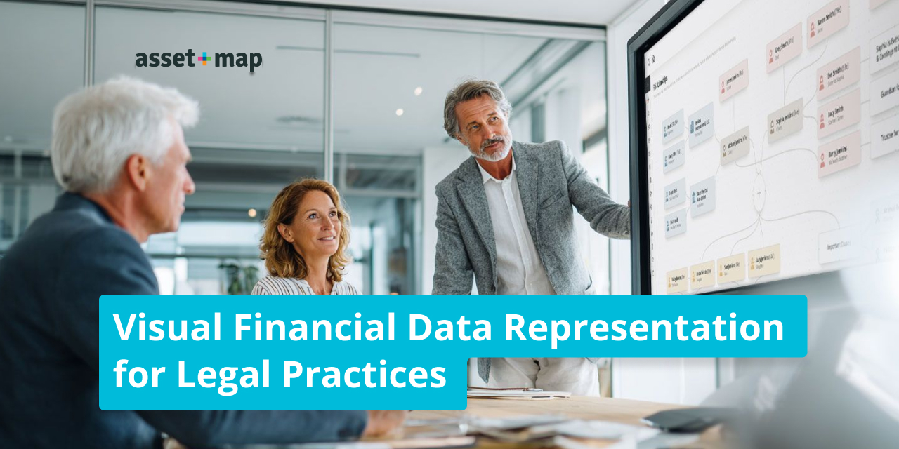 Visual Financial Data Representation for Legal Practices