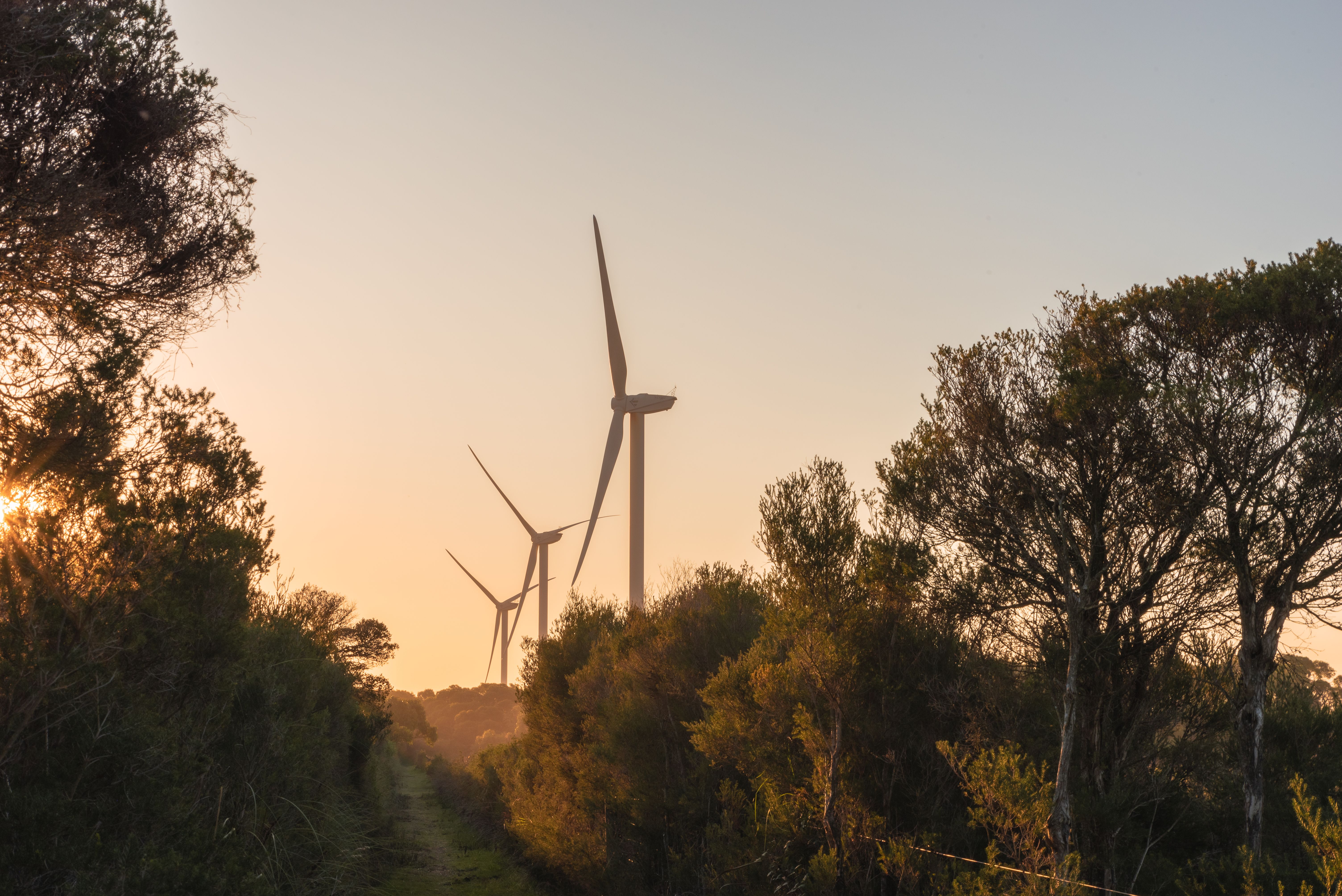 Wind turbines at sunrise in Wonthaggi, Victoria, part of the renewable transition that shapes how global events flow through to Australian energy prices.