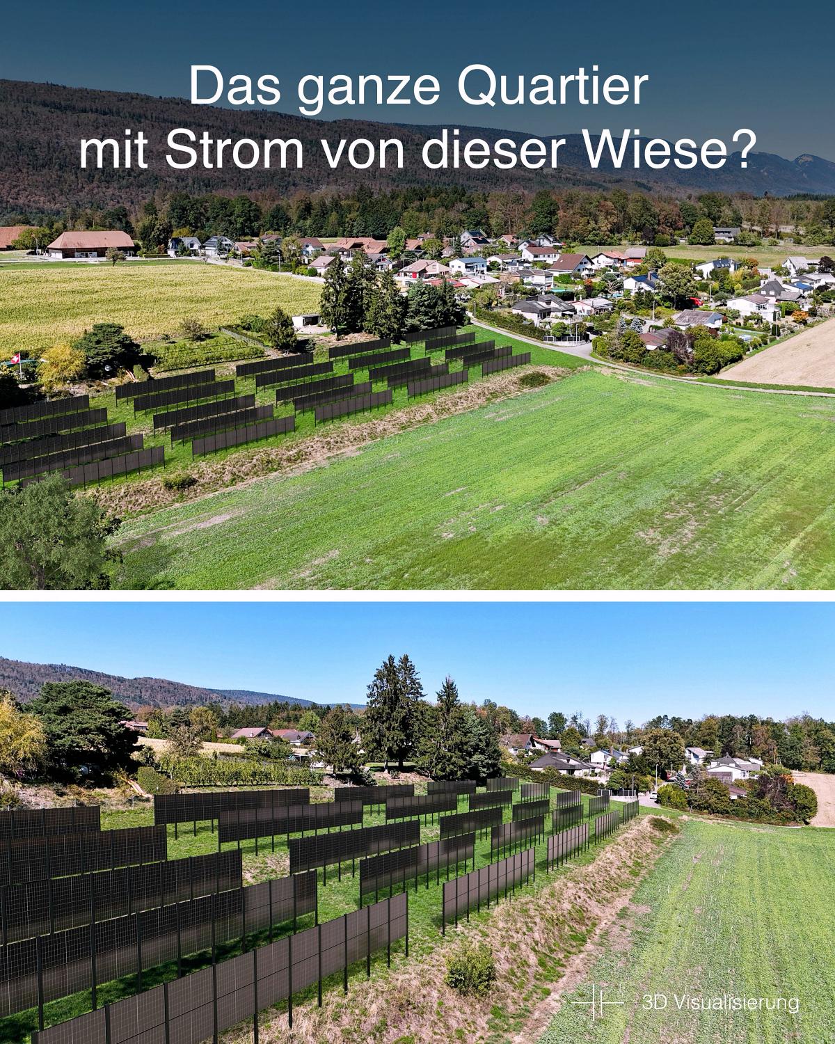 AgriPV Anlage an Südhang versorgt ganzes Quartier mit Strom