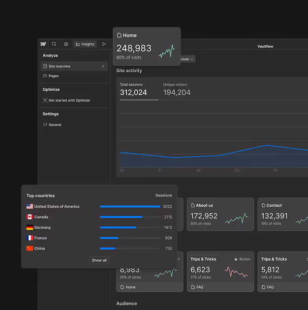 Interface analytics de webflow