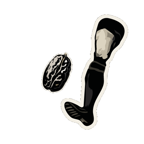 An illustration of a floating rugby player’s leg kicking a raisin.