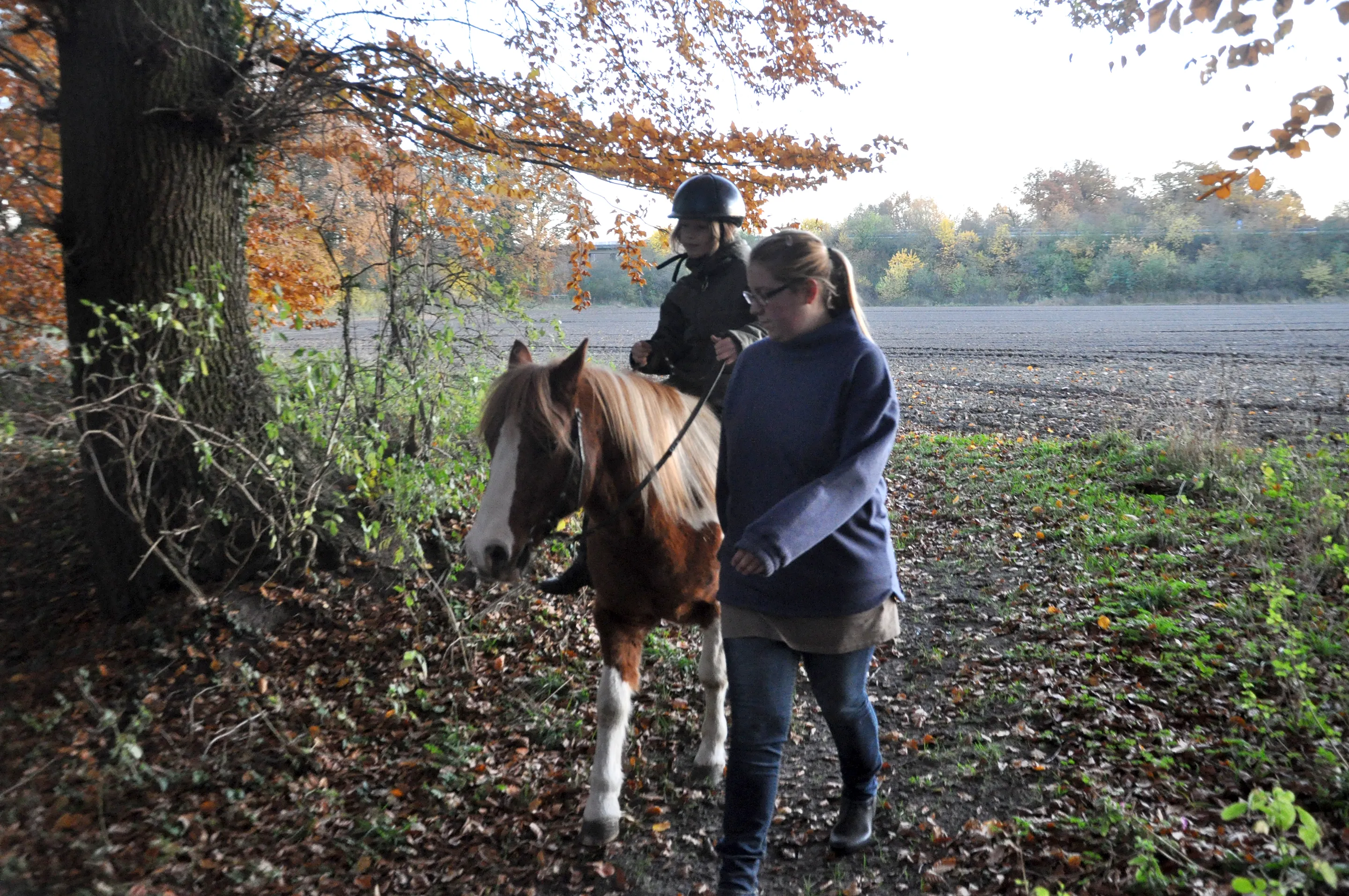 Ausritt mit Pony durch den Zauberwald in Hagen