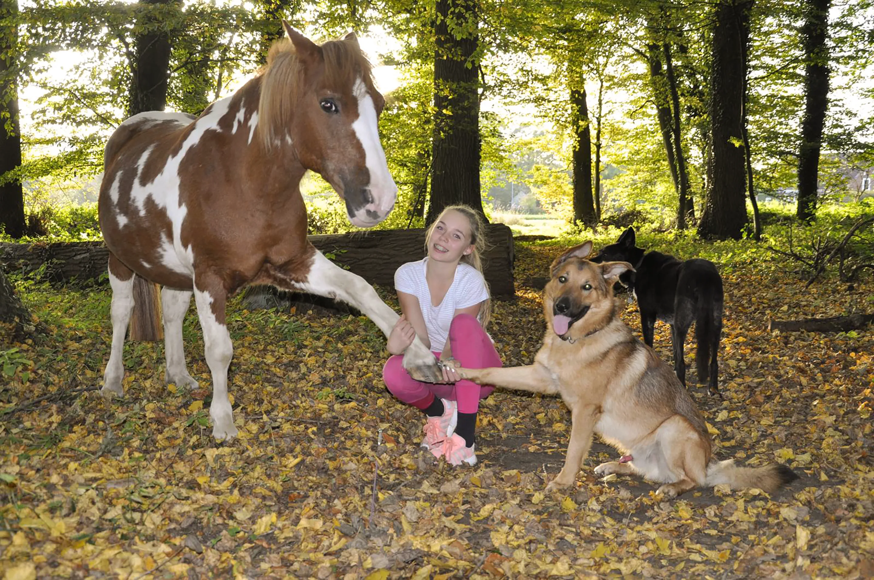 Kind entdeckt Natur und Tiere im Ferienkurs bei COUNTRY-KIDS