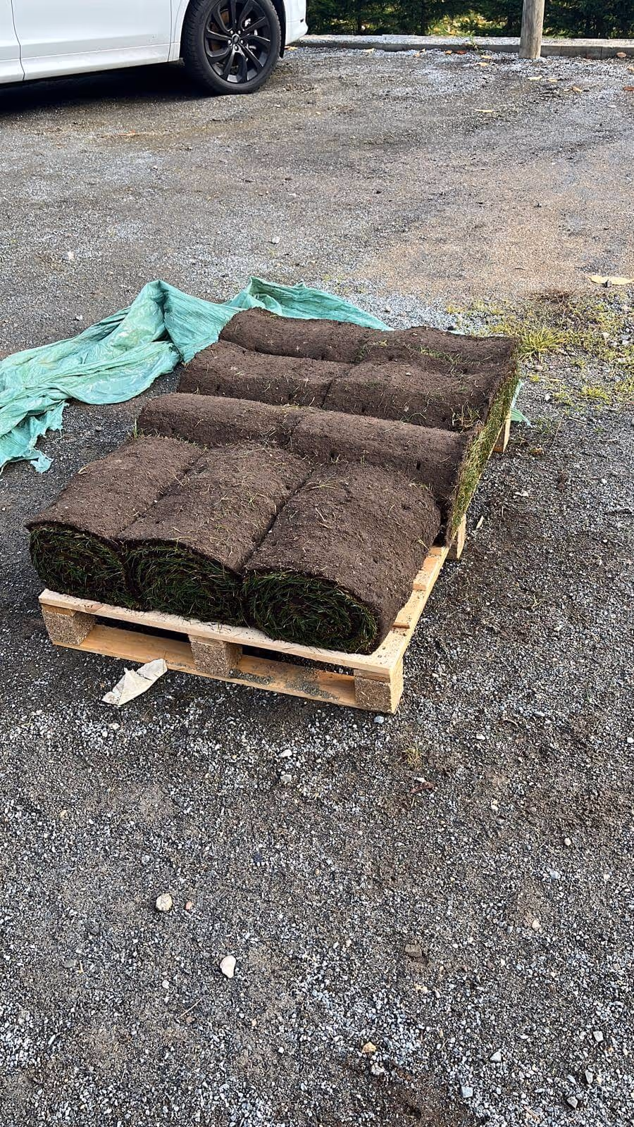 Ein verlegter Rollrasen.