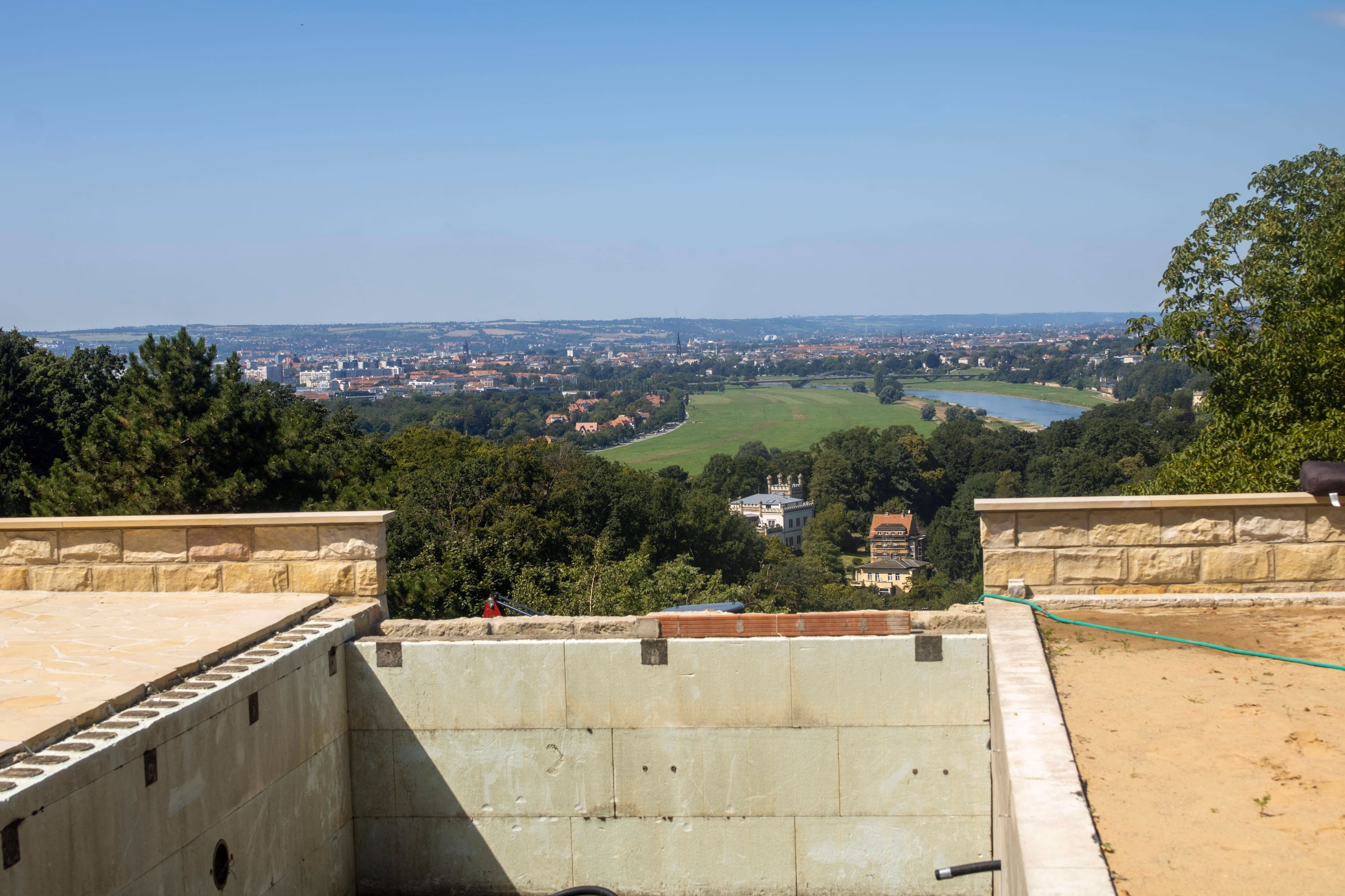 Eine gepflanzte Rose.