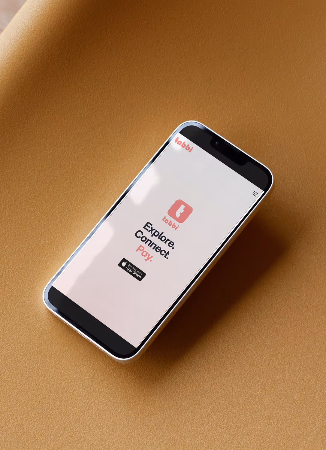 Tabbi on a phone screen.