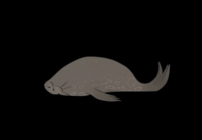 A drawing of a seal laying on a ground