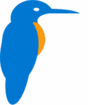 Kingfisher-School-Logo-Icon