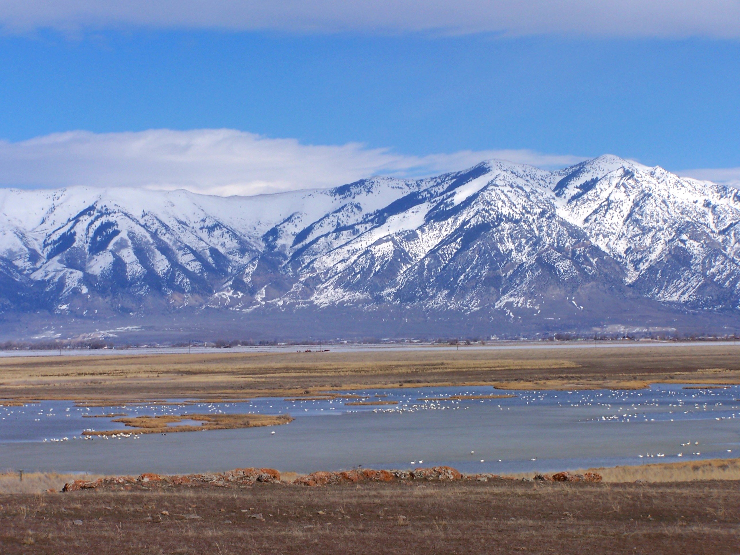 Utah Legislative Committee Advances Bill to Dry Up the Great Salt Lake