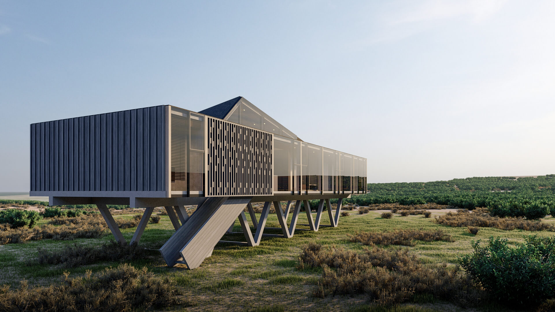 Casas Pancora Pichilemu