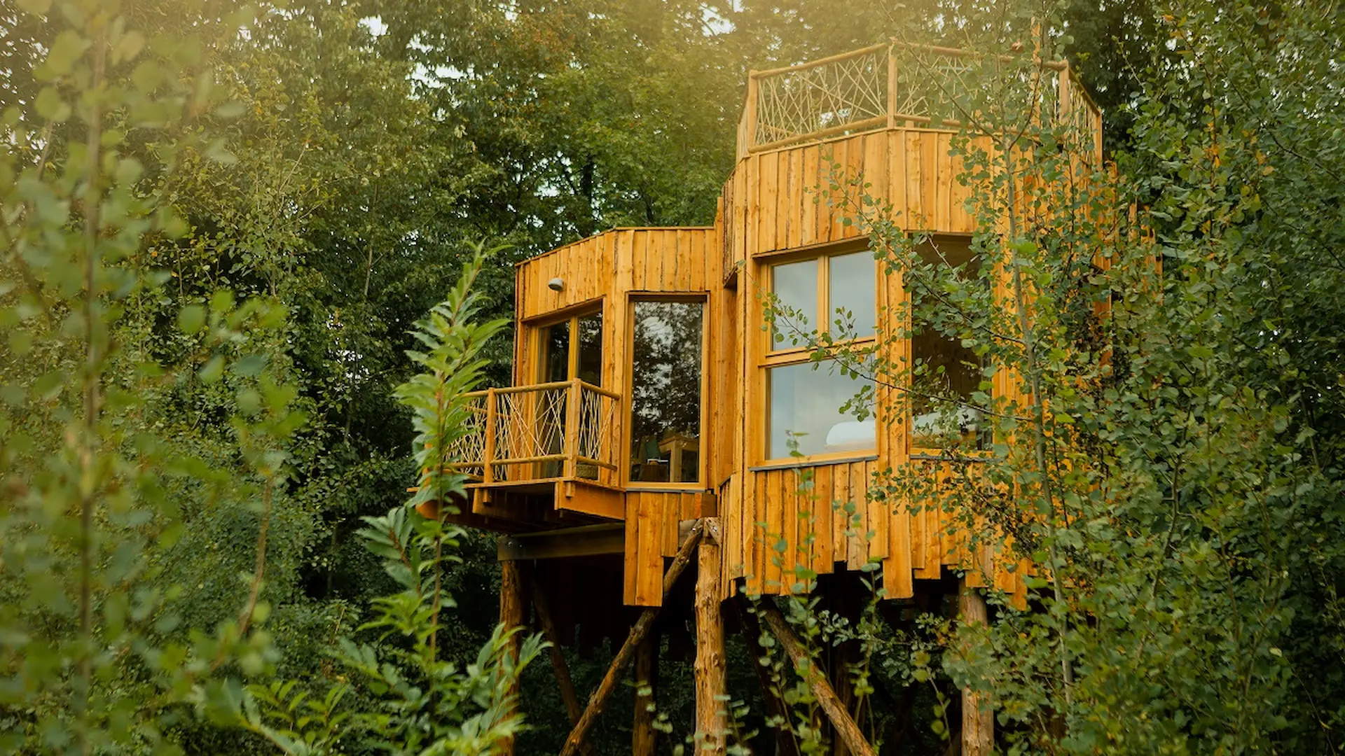 Cabane Spa Eclipse - Cabanes des Grands Chênes - Hauts de France