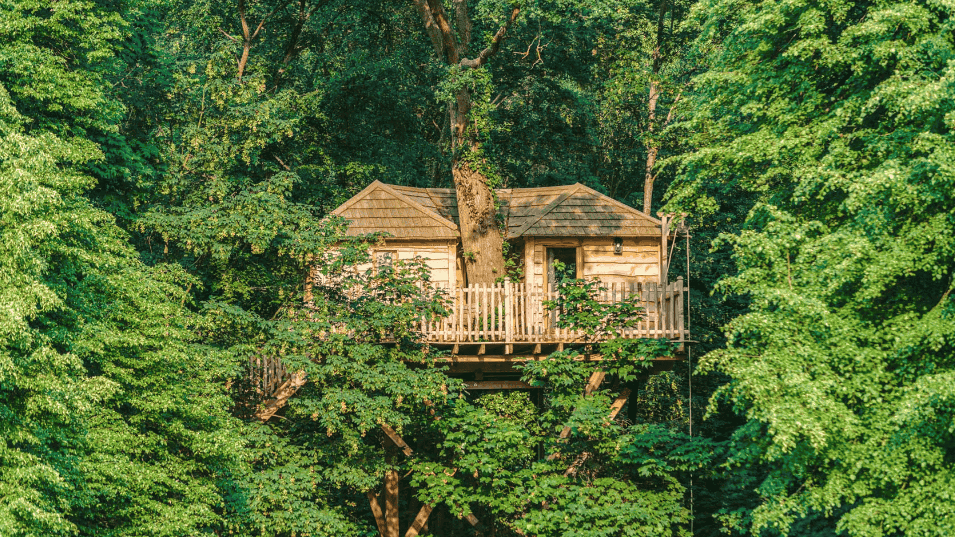 Cabane Spa Cachette | Cabanes Grands Chênes