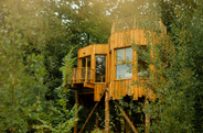 Cabanes sur pilotis dans la forêt - Coucoo Cabanes - Cabanes des Grands Chênes