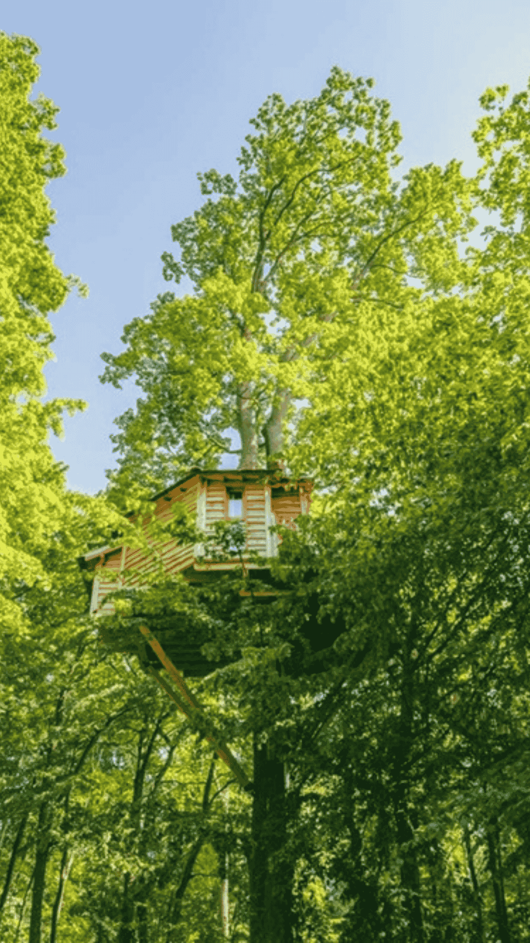 Cabane Cime - Coucoo Cabanes - Cabanes des Grands Chênes