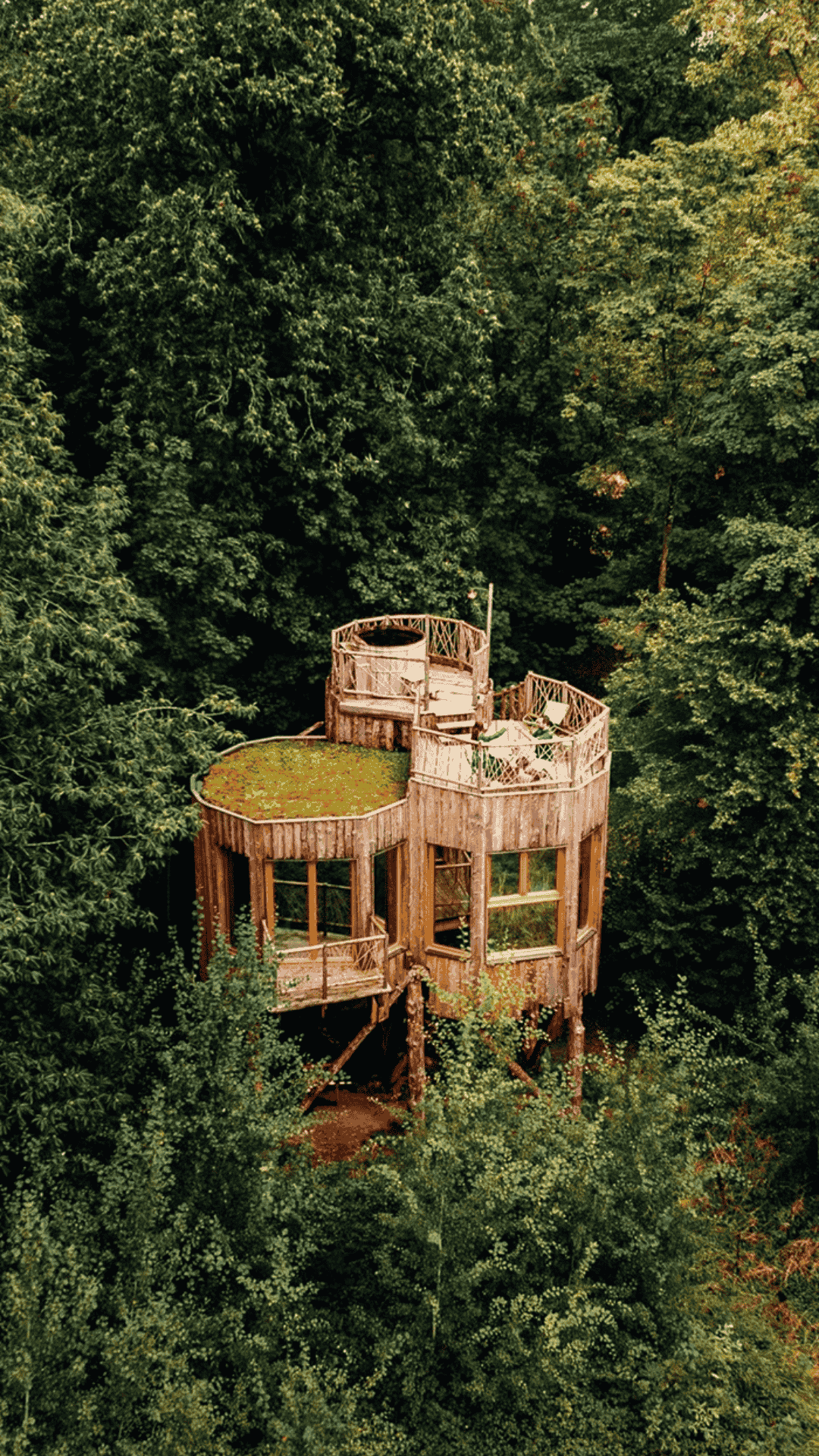 Cabane Spa Eclipse - Coucoo Cabanes - Cabanes des Grands Chênes