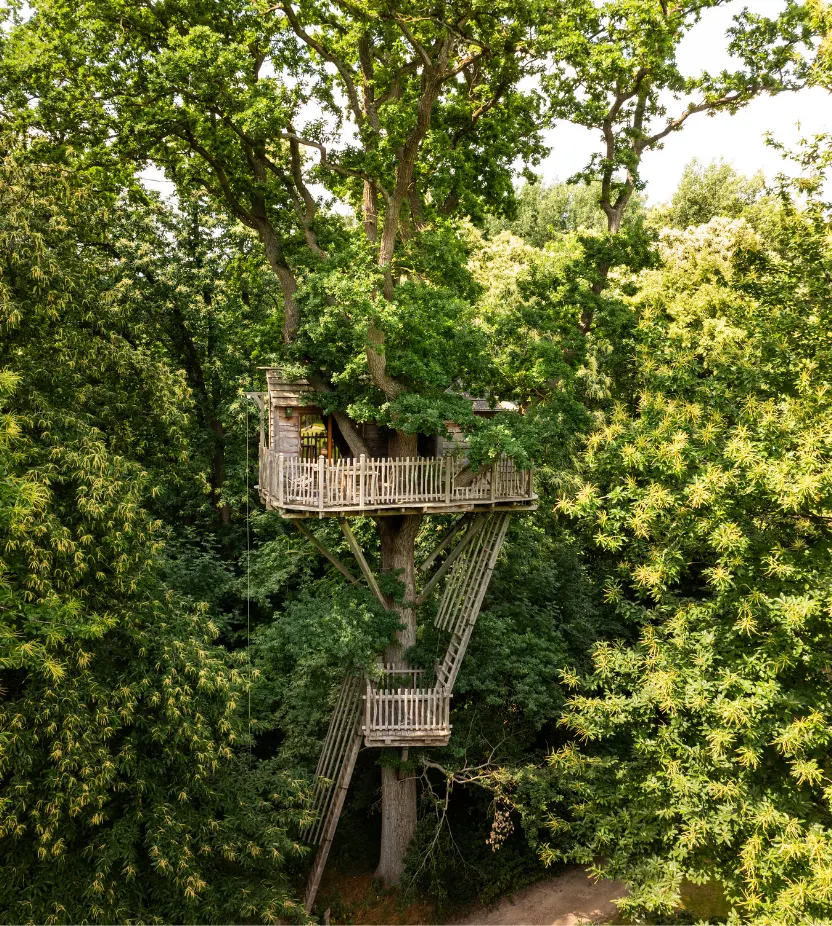 Cabanes dans les arbres - Coucoo Cabanes - Cabanes des Grands Chênes