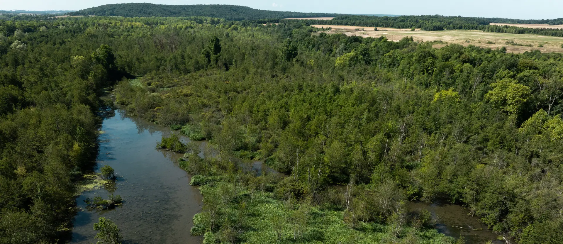 Les Cabanes de L'Orvanne - Seine-et-Marne près de Fontainebleau