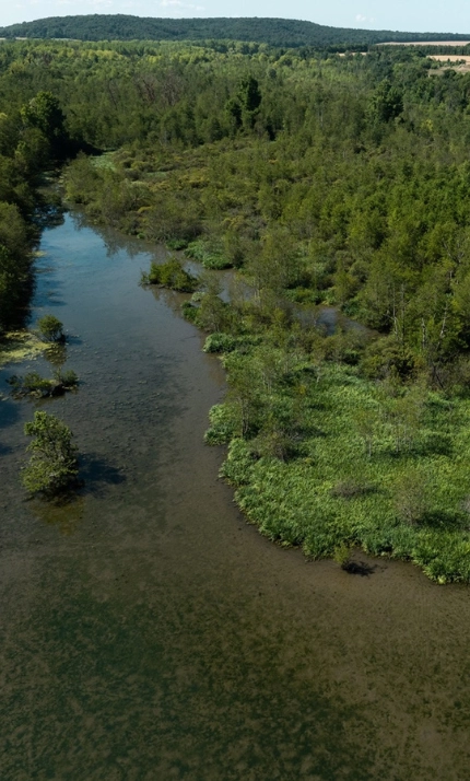 Les Cabanes de L'Orvanne - Seine-et-Marne près de Fontainebleau