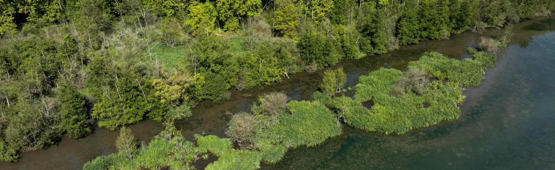 Rives de l'Etang - Cabanes de l'Orvanne