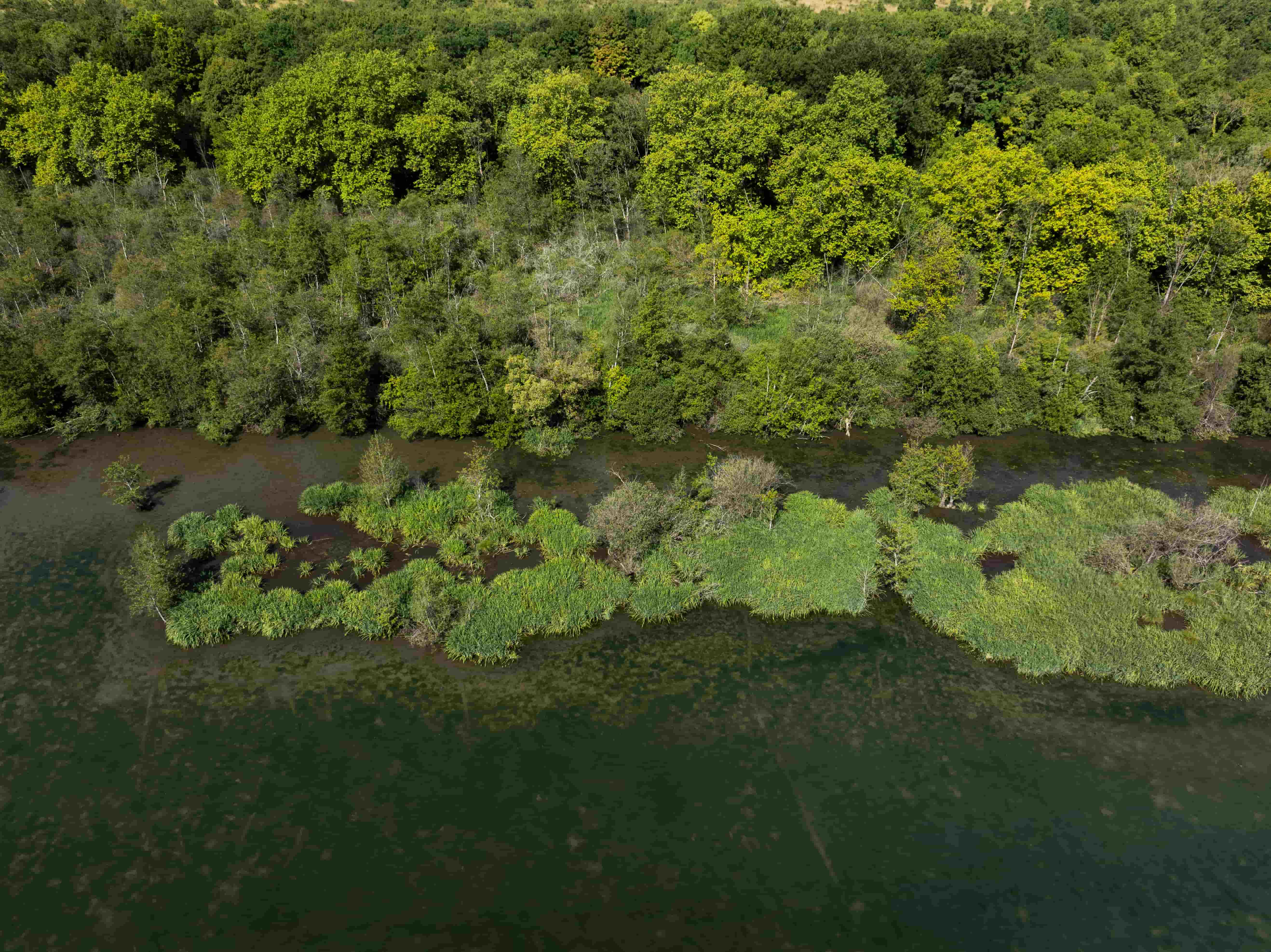 Etang de Moret @Valentin Lauféron