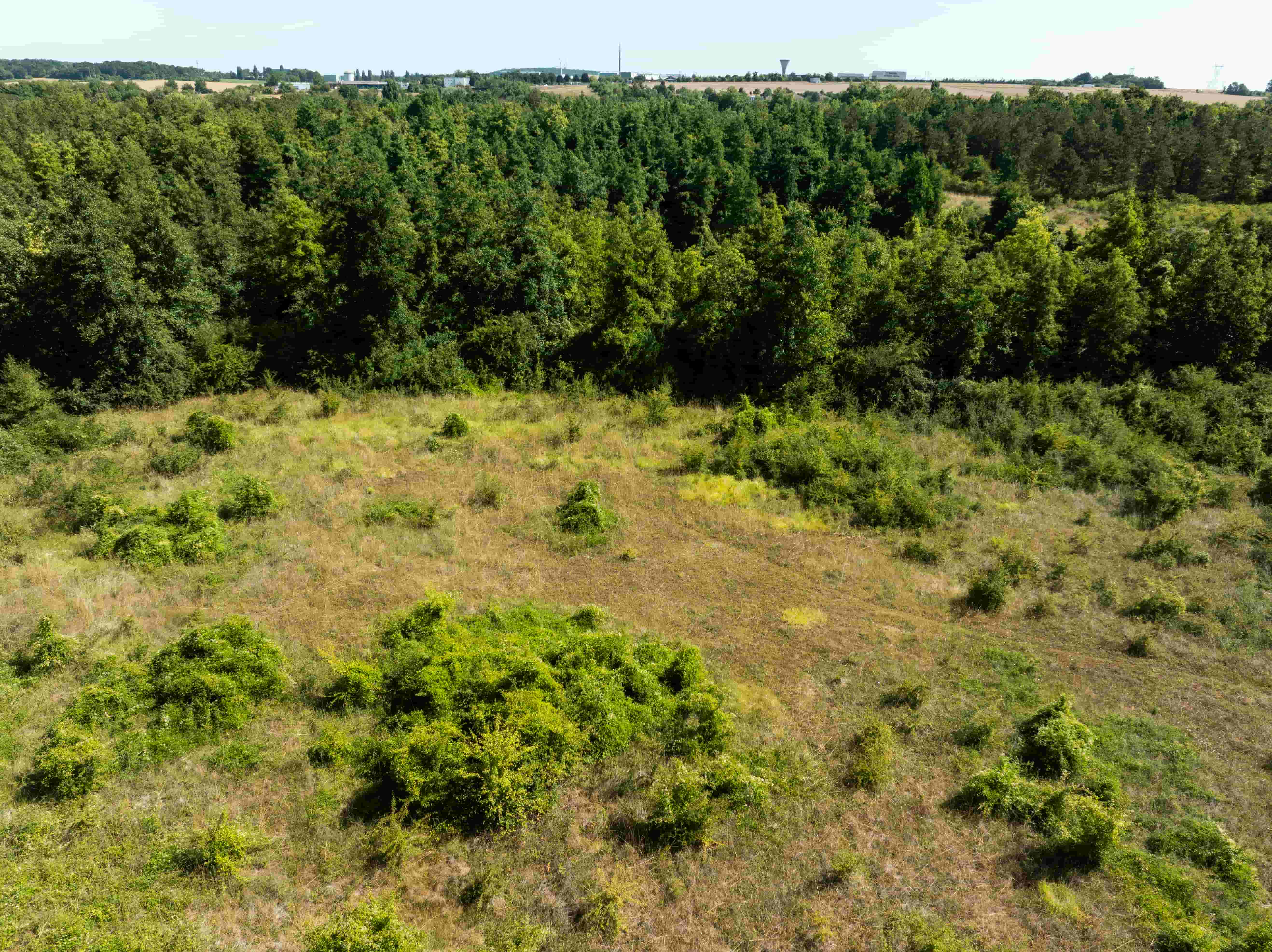 Prairie des Cabanes de l'Orvanne @Valentin Lauféron