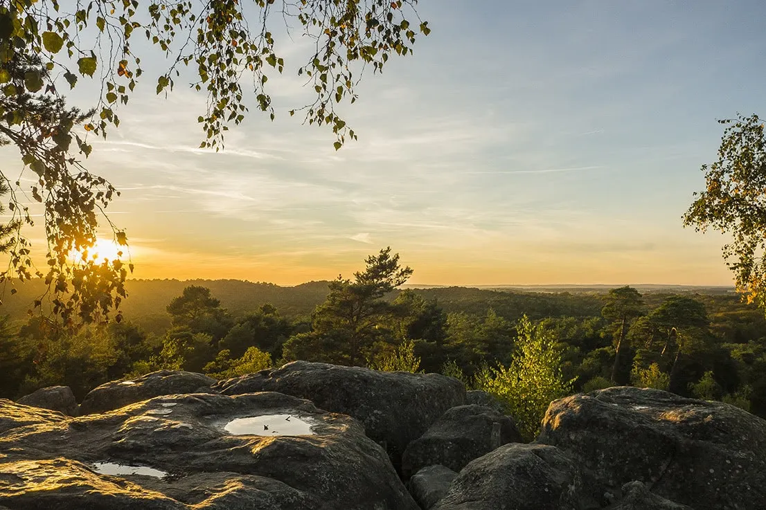 Forêt de Fontainebleau @Fontainebleau Tourisme