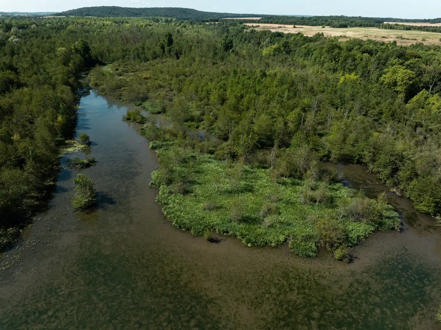 Etang de Moret proche de Fontainebleau @Valentin Lauféron