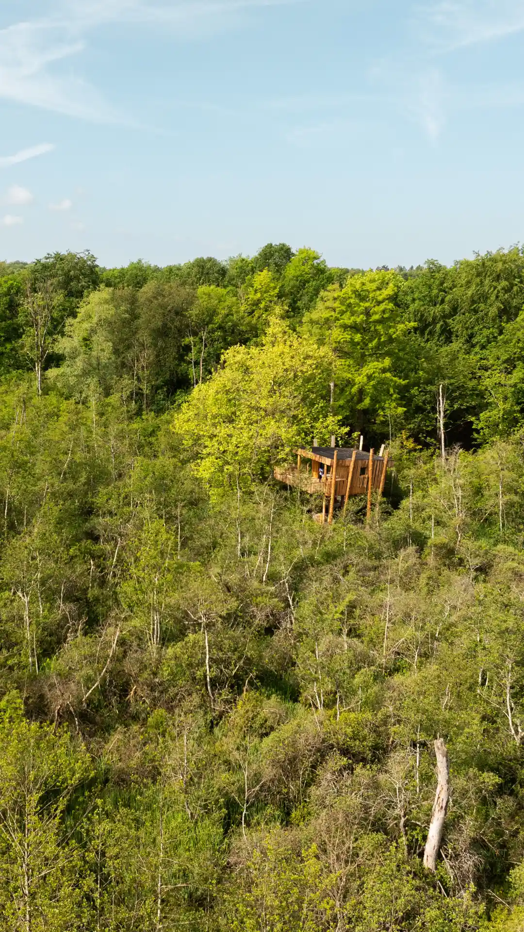 Cabanes du Marais | Cabanes de l'Orvanne