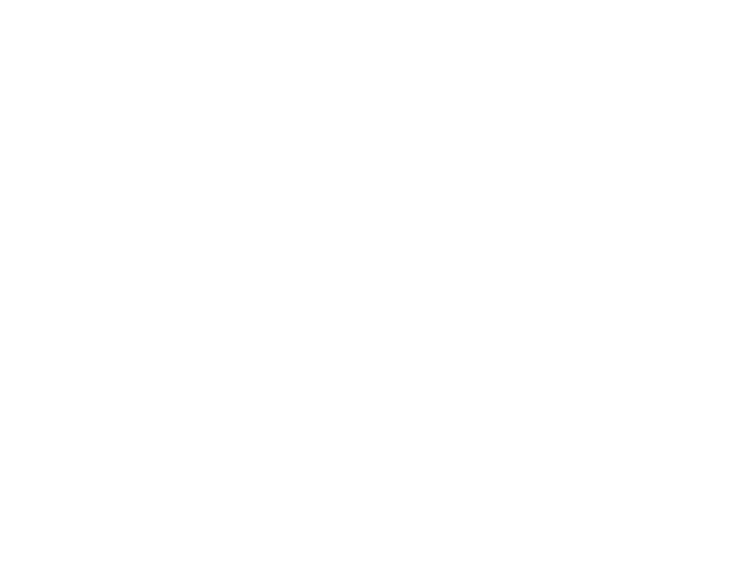 Blank white image with no discernible content or features