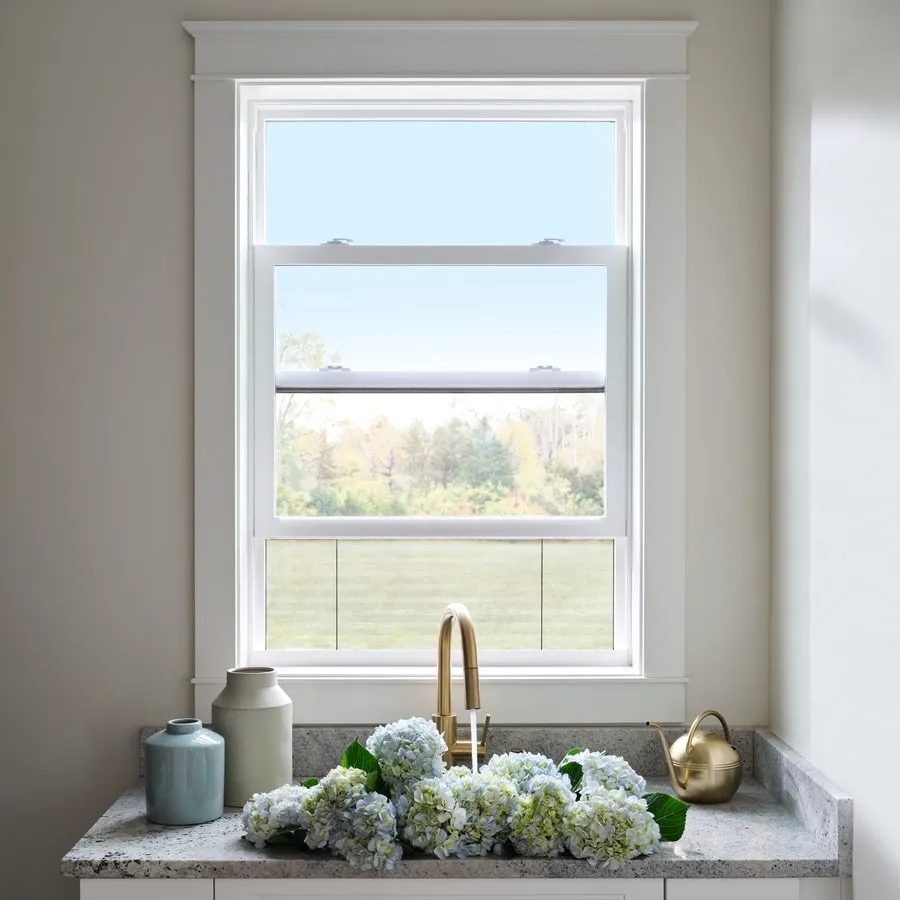image of a white single hung window