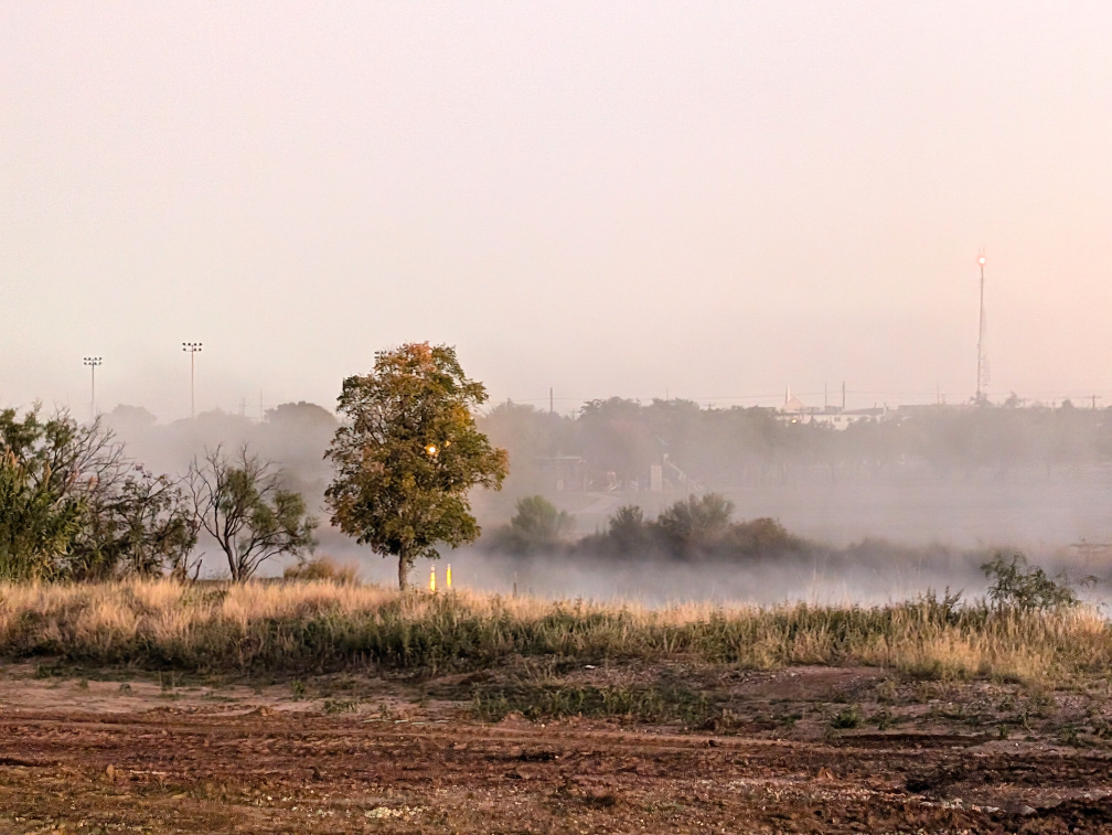 field with fog