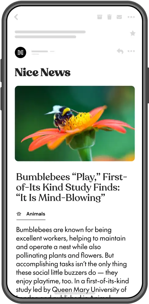 A mockup of the Daily Passport newsletter in a mobile phone frame