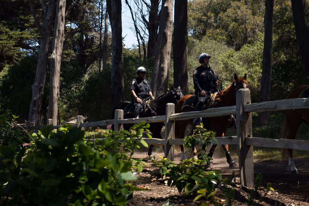 two mounted police officers on a trail