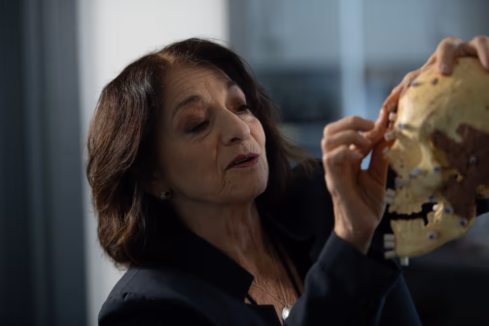 A woman examining the model of a skull