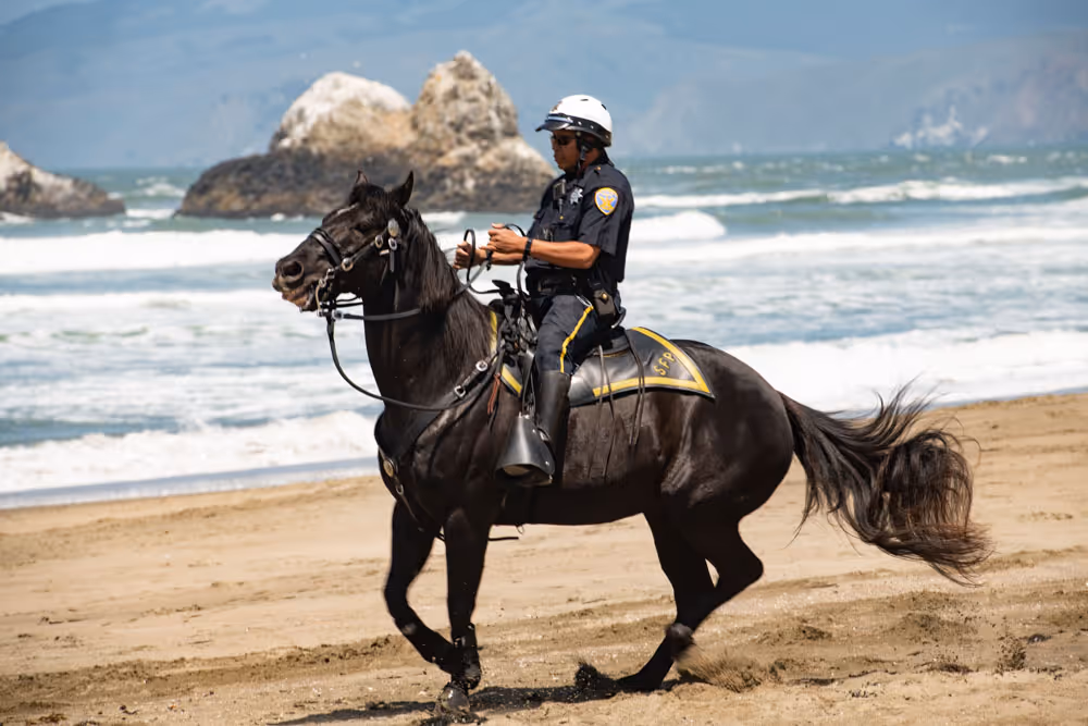 A male mounted officer at the beach