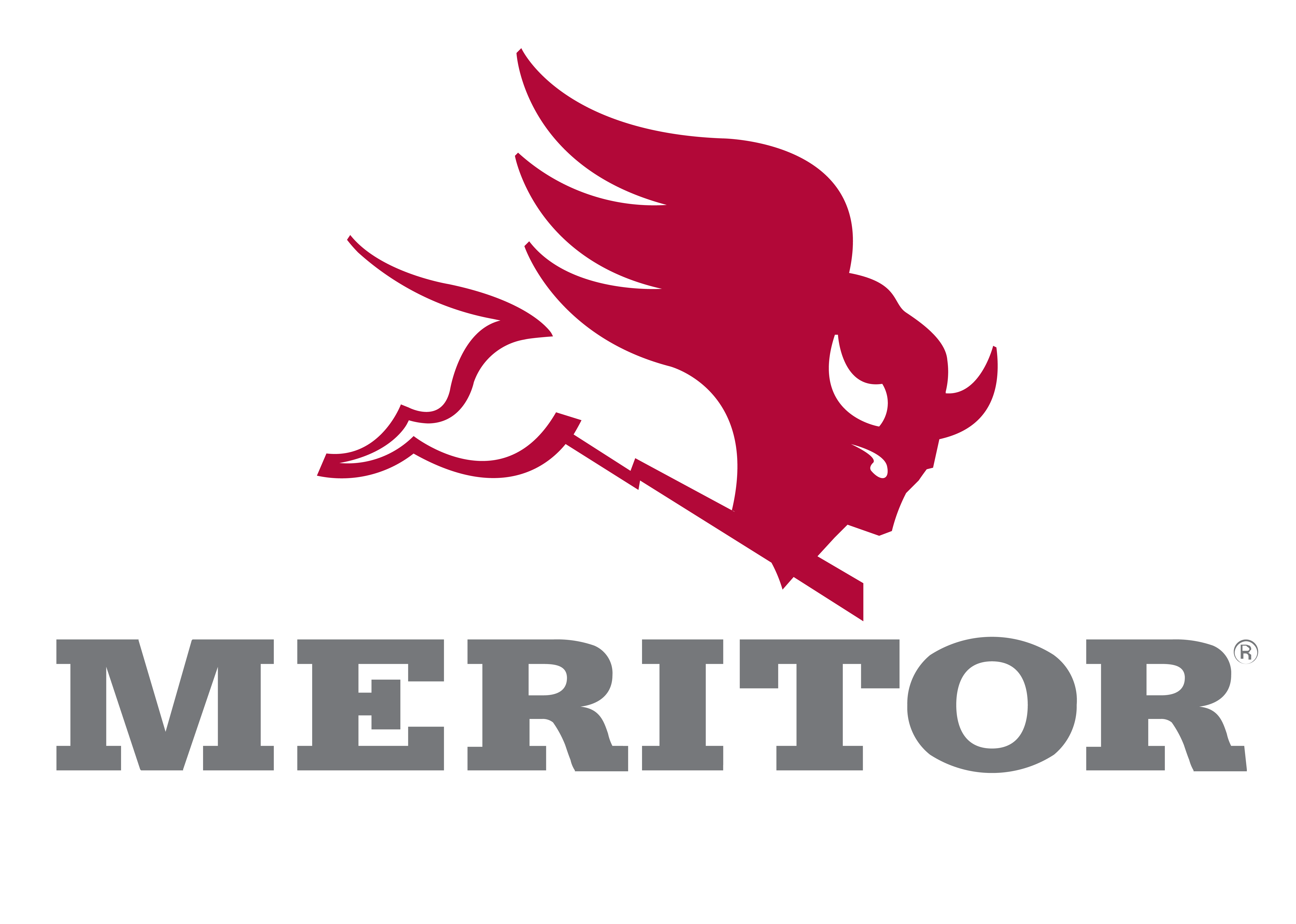Logo Meritor a color