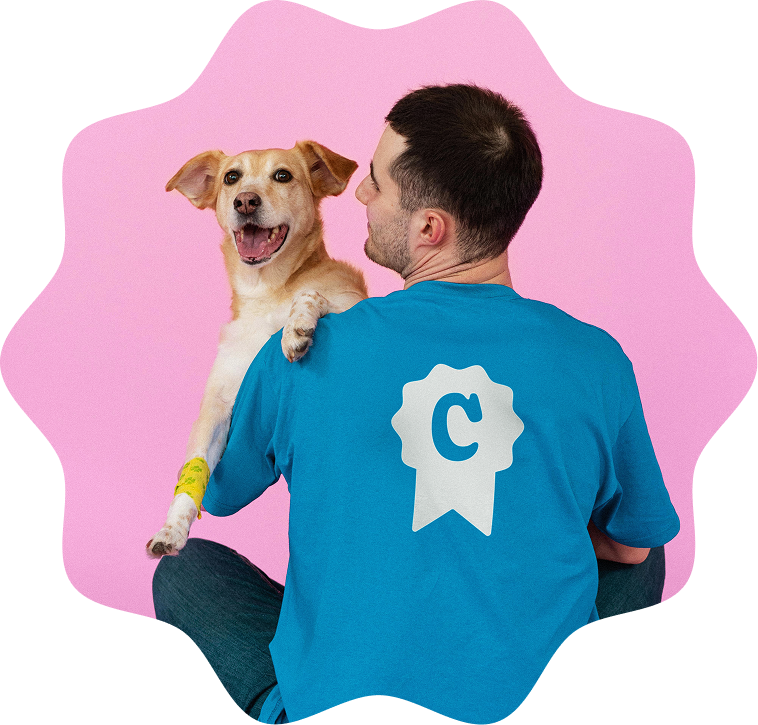 Man in a blue shirt holding a happy dog with a yellow bandage on its front leg against a pink background.