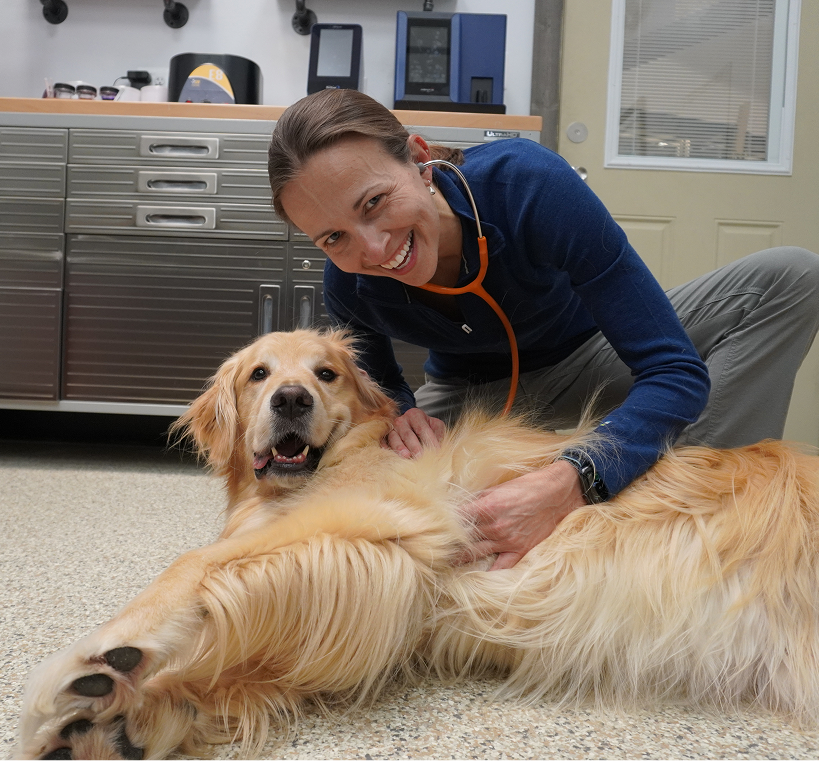Veterinarian wearing a stethoscope smiling and examining a relaxed golden retriever lying on the floor in a clinic.