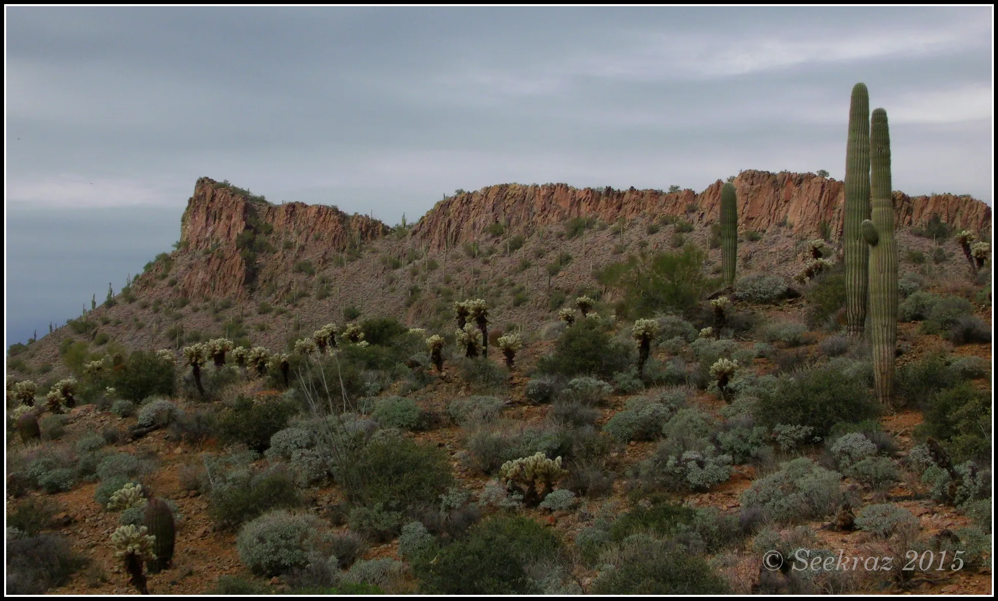 Desert Hills rural desert community near Anthem Arizona