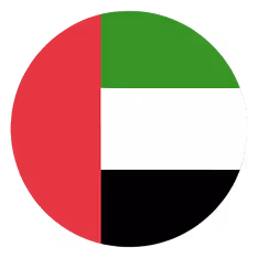 Dubai flag