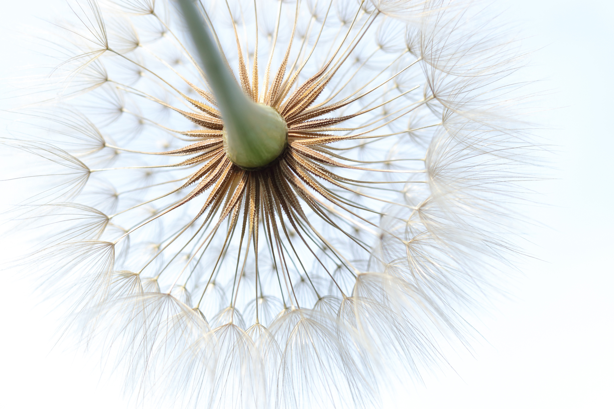 Crafting a new type of leader requires a unique approach to leadership. Here's why.