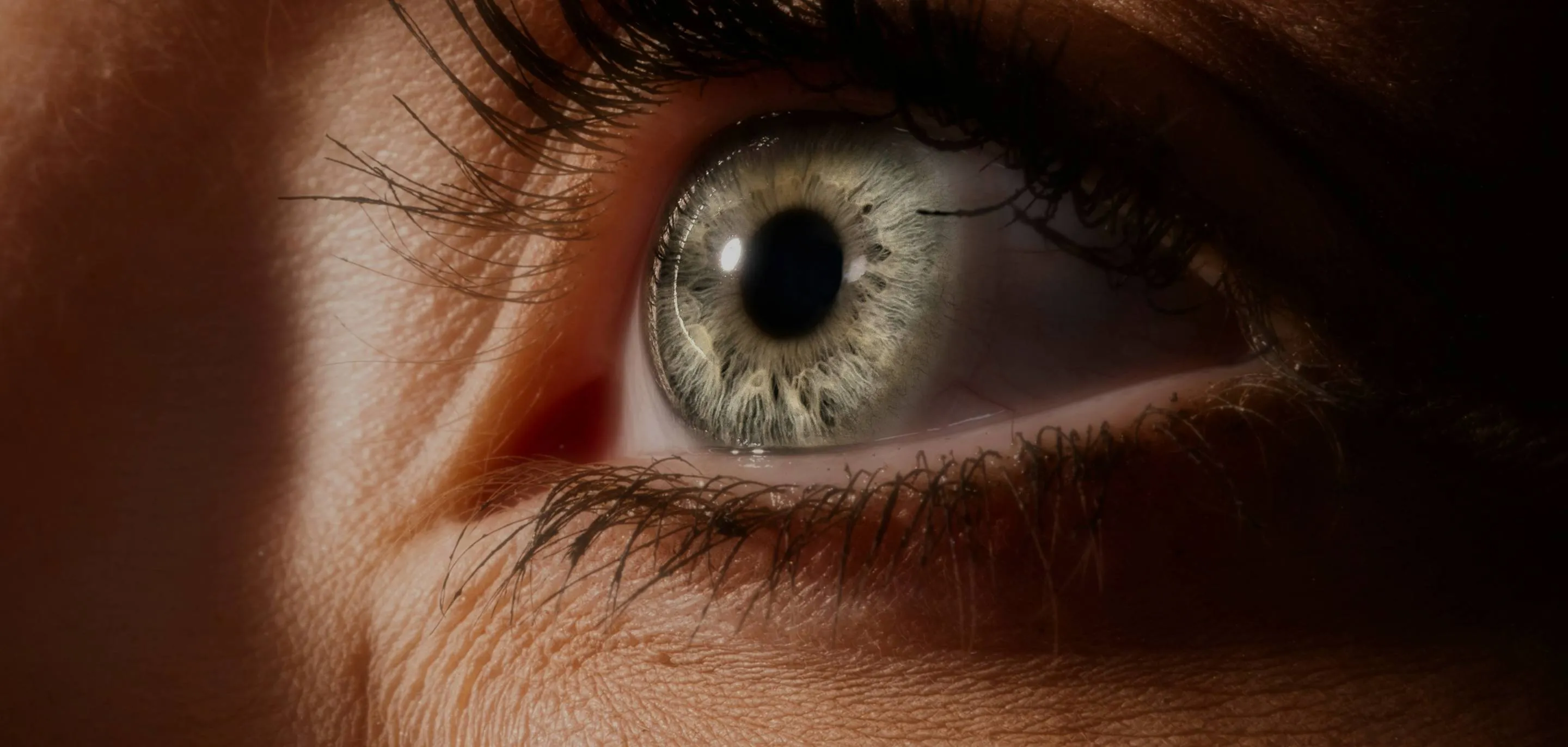 A picture of an eye.
