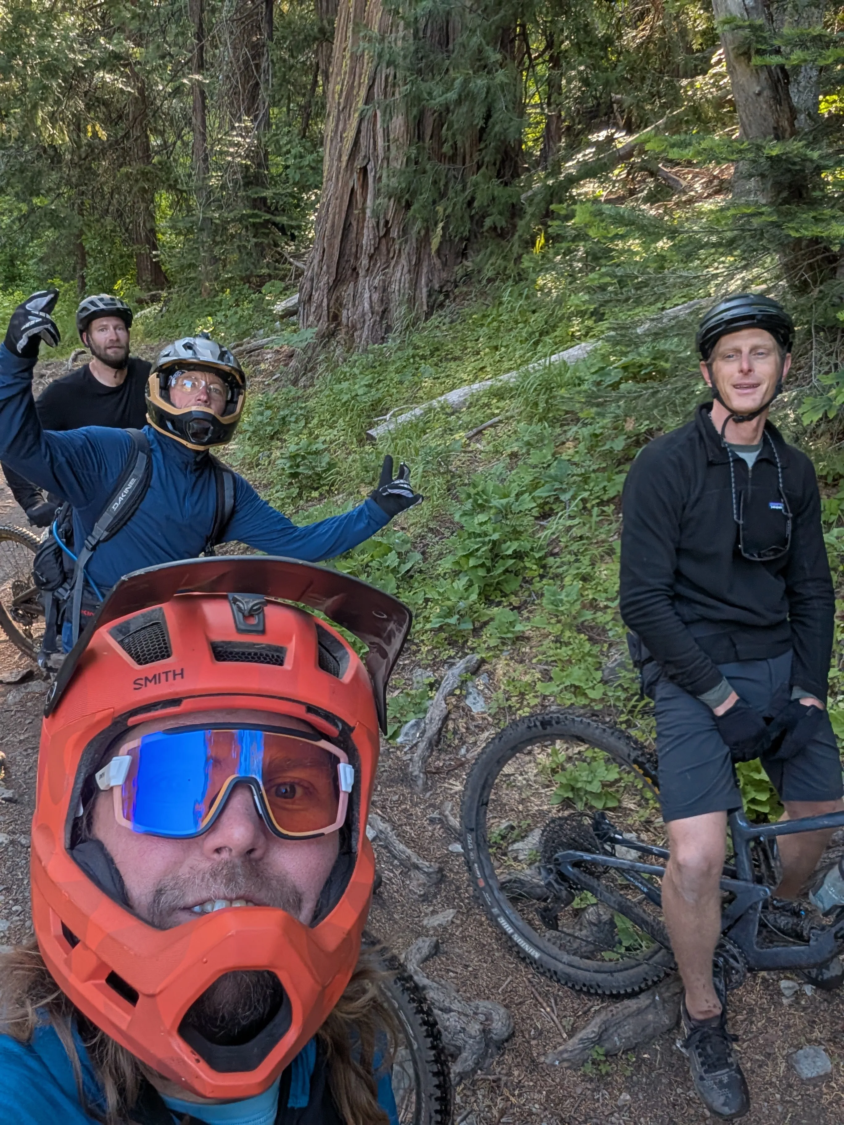 A group of four mountain bikers taking a break on a forest trail, surrounded by tall trees and greenery.