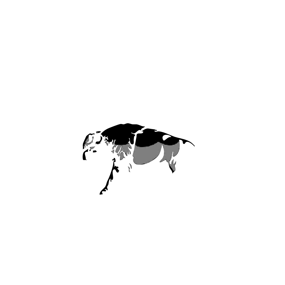 Buffalo Builders